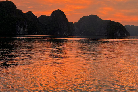Cat Ba : tour en bateau de Lan Ha en kayak pour observer le plancton bioluminescent