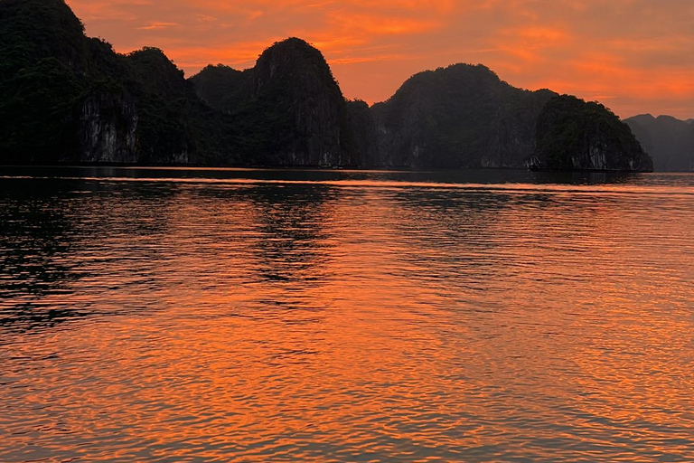 Cat Ba : tour en bateau de Lan Ha en kayak pour observer le plancton bioluminescent