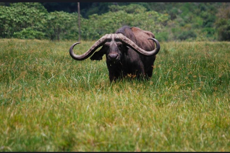 Addis Abeba: wycieczka do kościoła Chebera Churchura i Parku Narodowego MazeAddis Abeba: Wycieczka do kościoła Chebera Churchura i Parku Narodowego Maze