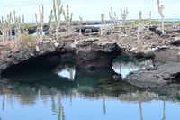 Tour del giorno di Los Tuneles (Isabela Island) - Hizvo