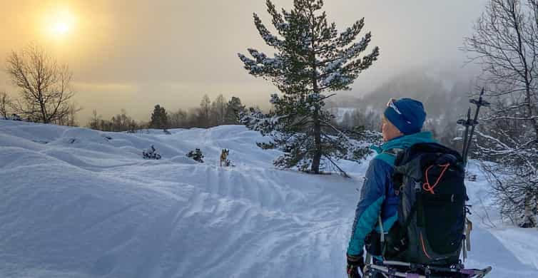 Hardangerfjord Exclusive Snowshoe Hike With Majestic Views Getyourguide