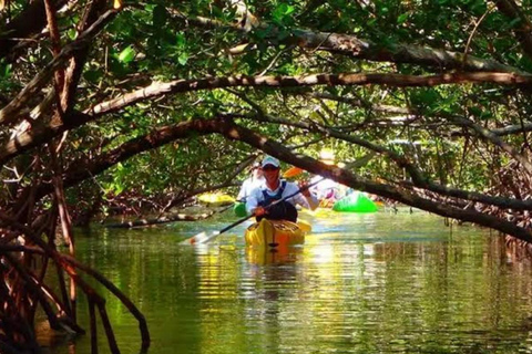 Zanzibar: Spice Farm, Butterfly Sanctuary, and Mangrove Tour