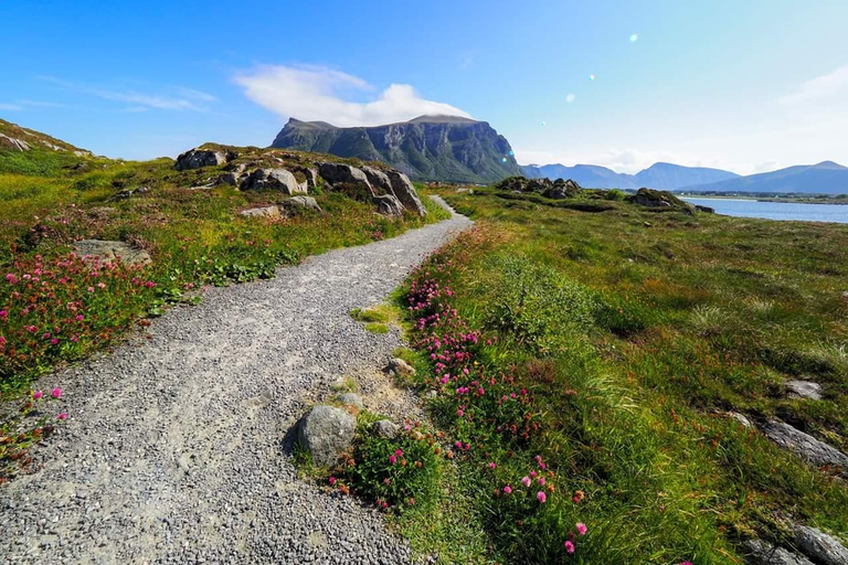 Molde - Get a feeling of the Atlantic Ocean