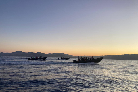 Cannes: Sunset and Fireworks Night Sea Excursion Night Sea excursion - Cannes Fireworks & Sunset