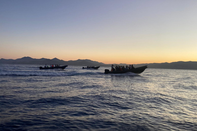 Cannes: Sunset and Fireworks Night Sea Excursion Night Sea excursion - Cannes Fireworks & Sunset