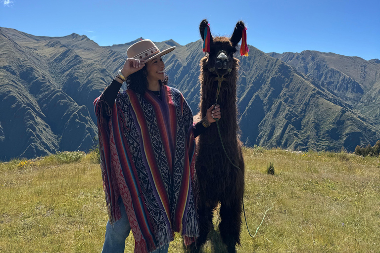 Hike with Alpacas and Llamas in Chinchero Chinchero Alpaca and Llama Hike