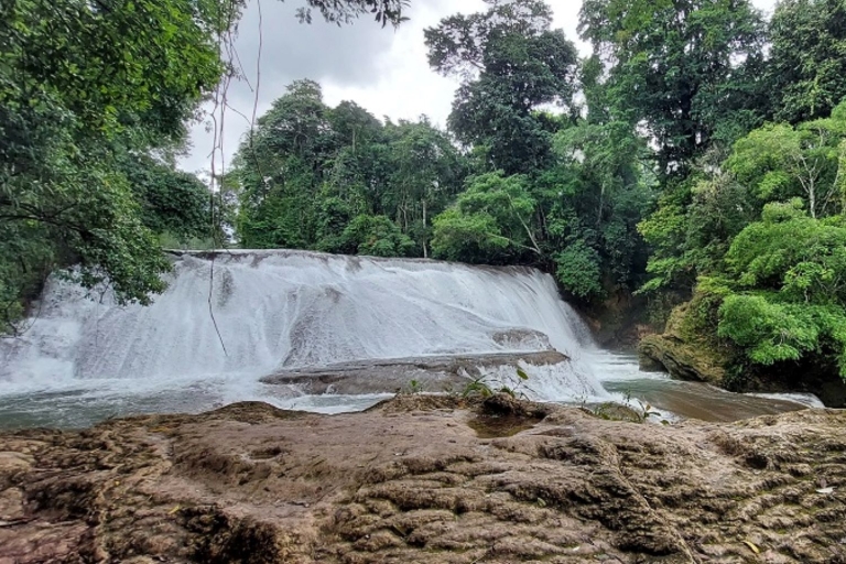 De Palenque : Circuit des merveilles des chutes d'eau de Roberto BarriosRoberto Barrios avec transfert à San Cristóbal