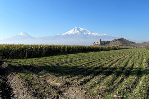 Trip To The South Of Armenia։Khor Virap, Areni &amp; Noravank