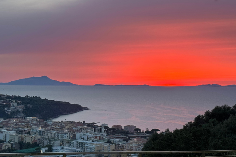 Sorrento: Walking Tour in Lemon Garden w/ Food Tasting