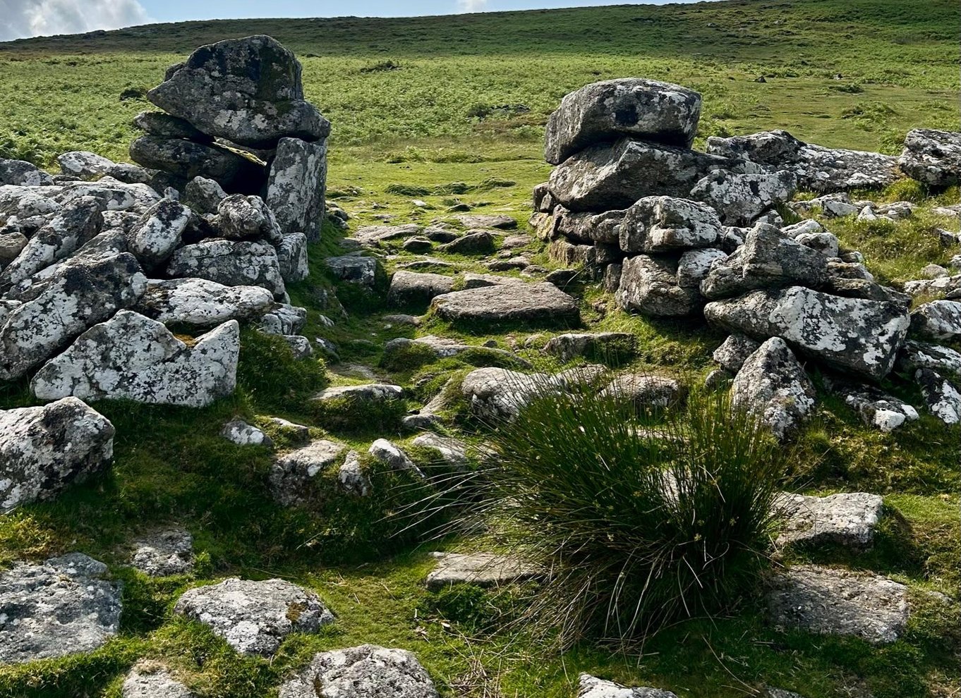 Dartmoor: Guidede byvandringer