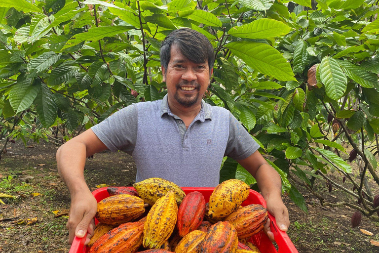 Privé: Punta Cana: buggytour met zwemmen in cenote &amp; MacaoPrivé: Punta Cana: Buggytocht met zwemmen in cenote &amp; Macao