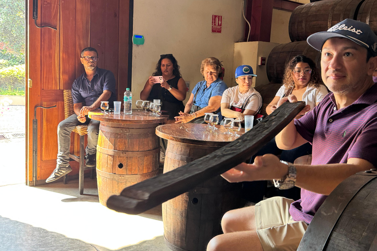 San Salvador: Cihuatán Rum Distillery Tour with Tasting