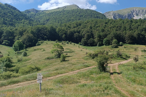 Desde Skopje Excursión a Ohrid y el Pico Magaro en la Montaña Galicica