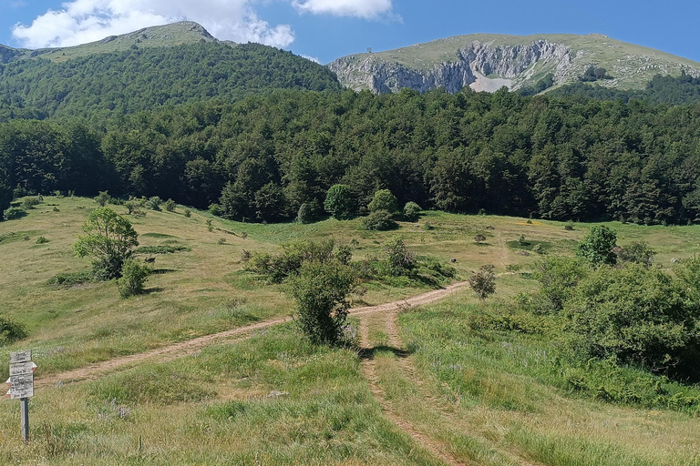 Desde Skopje Excursión a Ohrid y el Pico Magaro en la Montaña Galicica