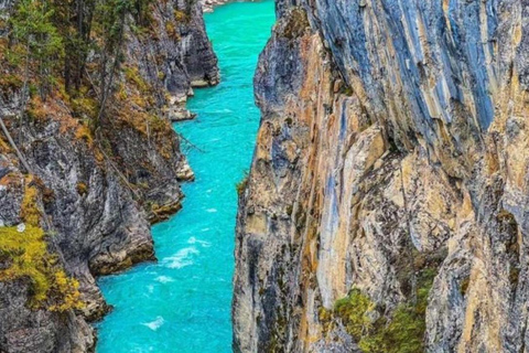 Excursión al Lago Esmeralda, Lago Louise, Cañón Johnston y Pueblo de Banff