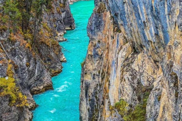 Excursão ao Emerald Lake, Lake Louise, Moraine, JohnstonCanyon&amp;Banff