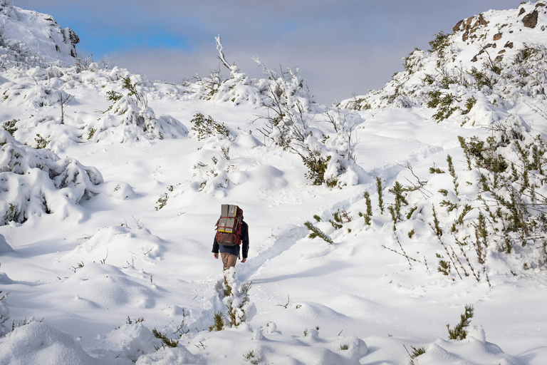 Północny Park Narodowy Tongariro i wędrówki na rakietach śnieżnych