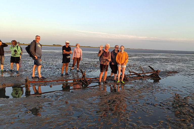 Butjadingen: Guided mudflat hike in the World Natural Heritage Site Butjadingen: Guided mudflat hike in the World Natural Heritage