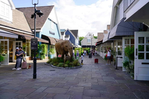 Tour particular de 10 horas por dia: Oxford e Bicester Village