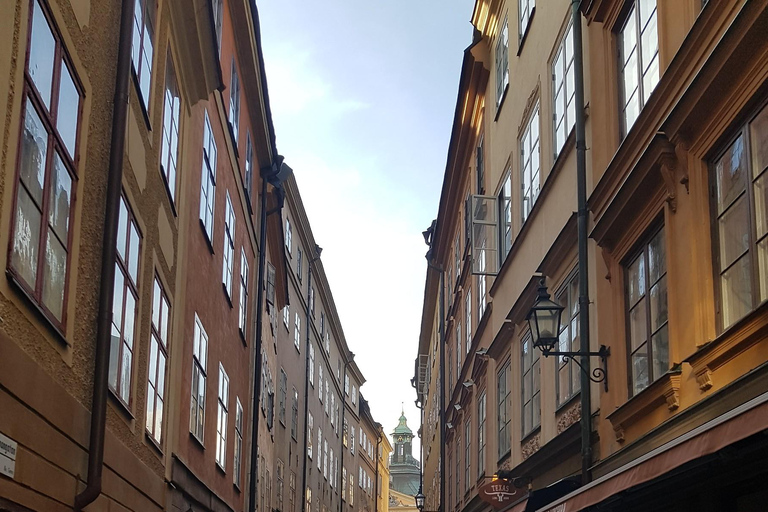 Das Beste von Stockholm in 2 Stunden