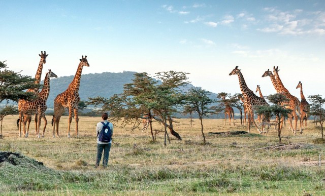 Visit Arusha National Park Day Tour with All-Inclusive in Arusha
