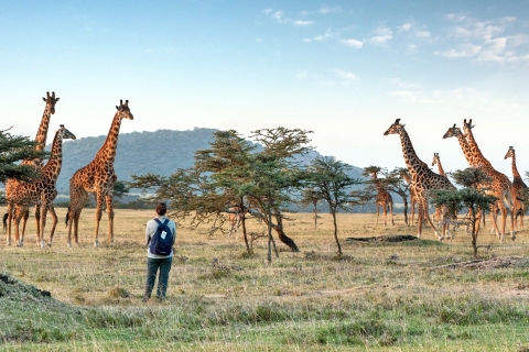 Excursión de un día al Parque Nacional de Arusha con Todo Incluido