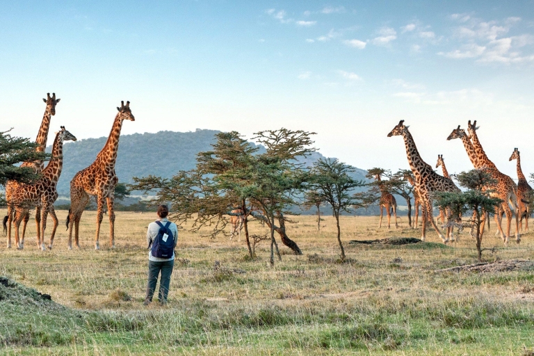 Excursión de un día al Parque Nacional de Arusha con Todo Incluido