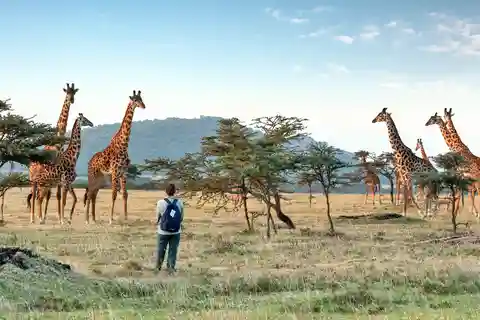 Excursão de um dia ao Parque Nacional de Arusha com tudo incluído