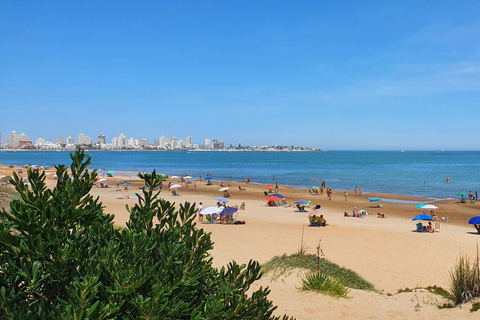 City Tour in Punta del Este: Unforgettable Adventure with Treasure Hunt!