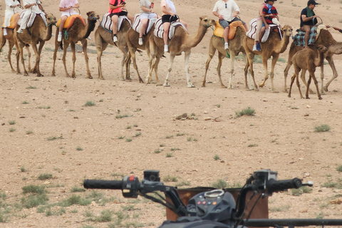 Marrakech Desert: Pool, Quad Biking, Sunset Dinner Fire Show