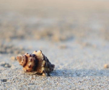 Johor: Vida na praia de Desaru e descoberta de piscinas naturais