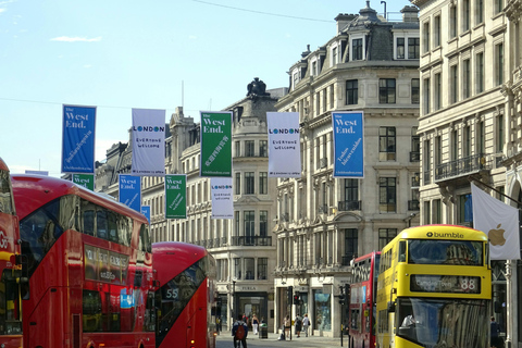 London: Premium 20+ Sights Tour with Expert Local Guide