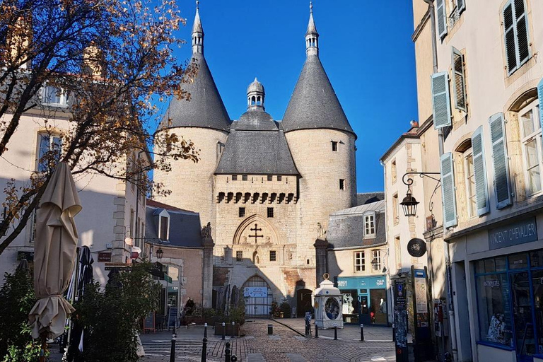 Nancy: Wandeltour met professionele gids