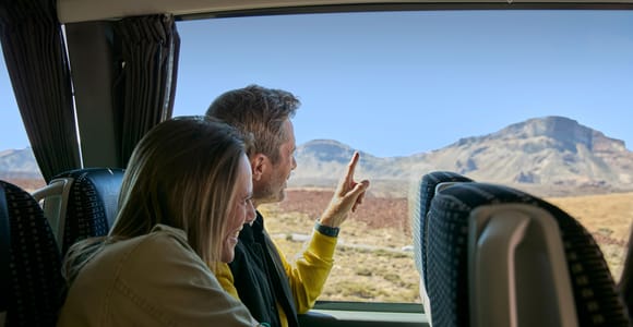 Mount Teide: Day Trip to Volcano Teide Without Cable Car