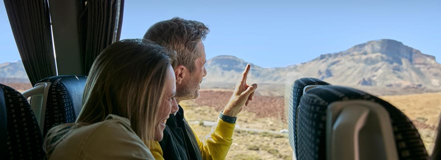 Tenerife : excursion au Teide avec téléphérique et transfert