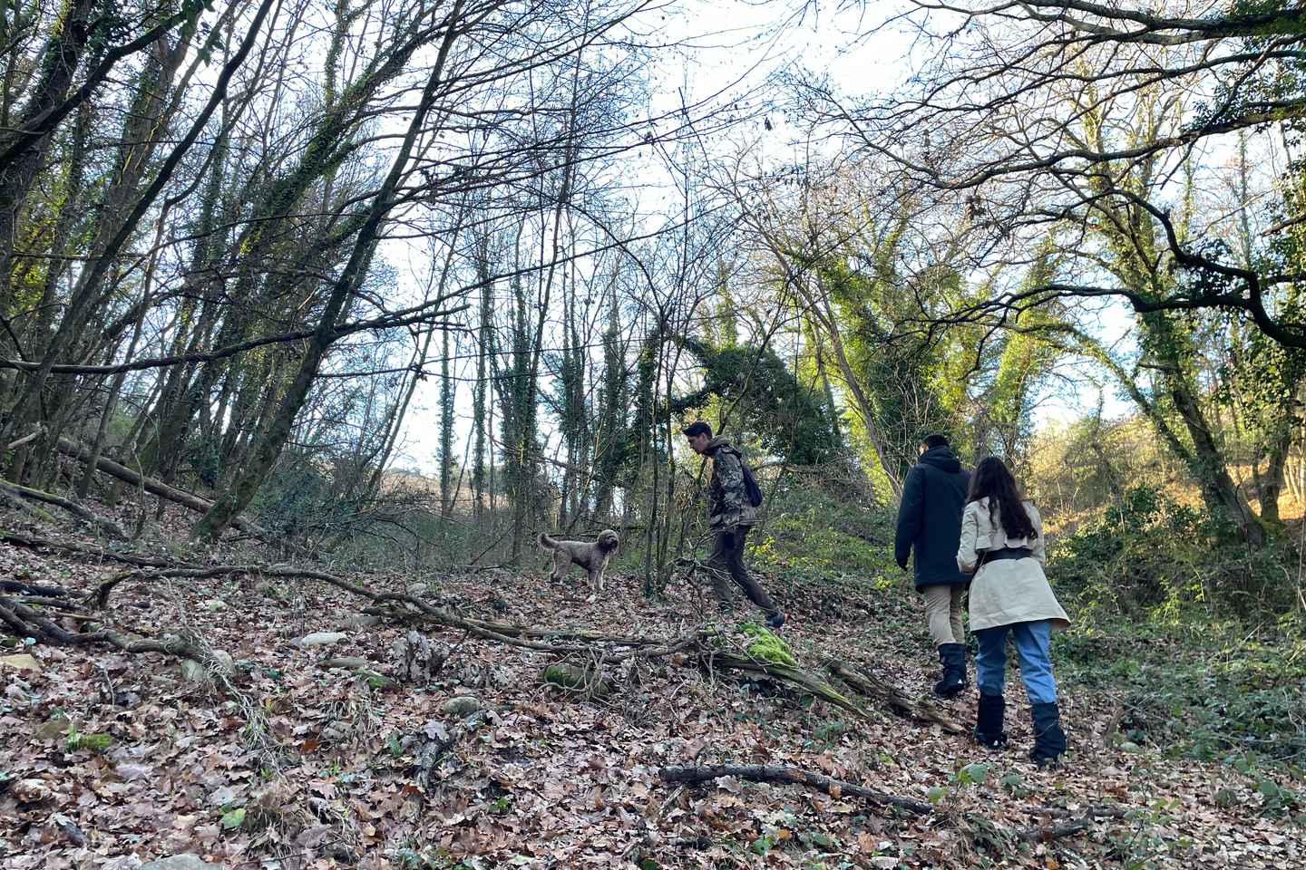 Leitin að Tryfflum í Chianti með Pasta Eldunarnámskeiði og Hádegisverði