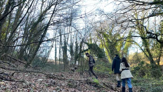 Truffle hunting in Chianti with pasta cooking class & lunch