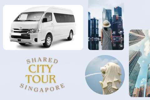 Singapour : Visite en bus de la ville en Van/Bus