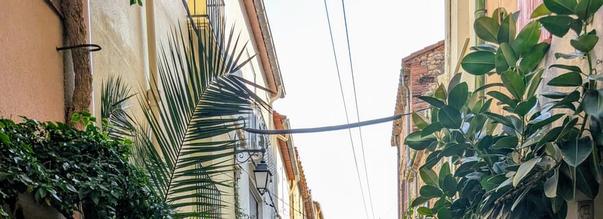 Argelès-sur-Mer : balade guidée en Solex et découverte du patrimoine