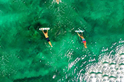 GILI TRAWANGAN : ISLA GILI SUBWINGsubgrupo privado (no unido a otro grupo)