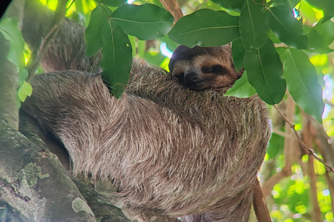 Excursión al Parque Nacional de Manuel Antonio.