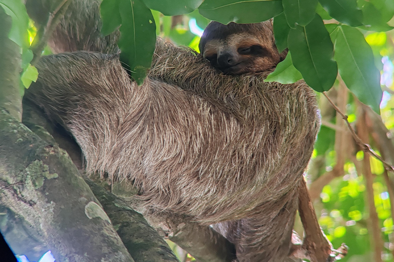 Excursión al Parque Nacional de Manuel Antonio.