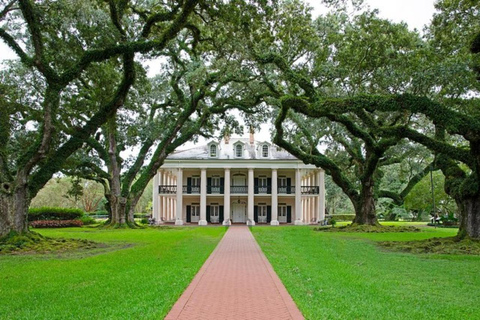 Nueva Orleans: Paseo por el Callejón del Roble y la Plantación Laura con transporte