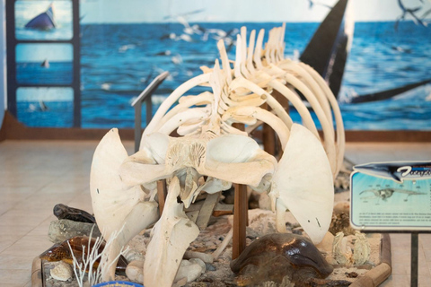 Koh Samui: Mu Ko Ang Thong Park Cruise with Kayaking Option With Kayaking