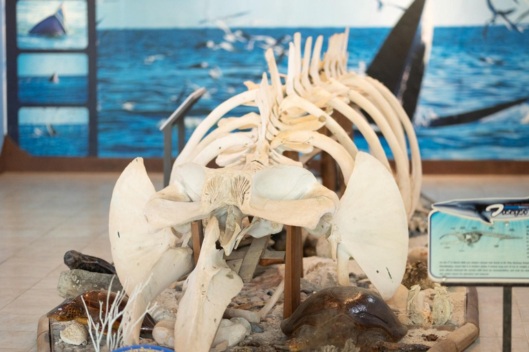 Koh Samui: Mu Ko Ang Thong Park Cruise with Kayaking Option With Kayaking