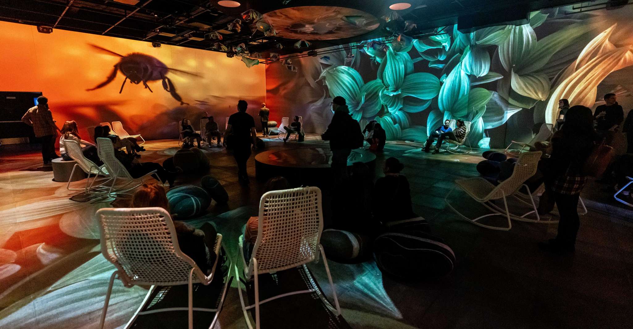 Montreal: OASIS Immersion Entry Ticket photo 4