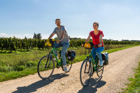 De Blois : Cheverny, dégustation de vin et cyclisme