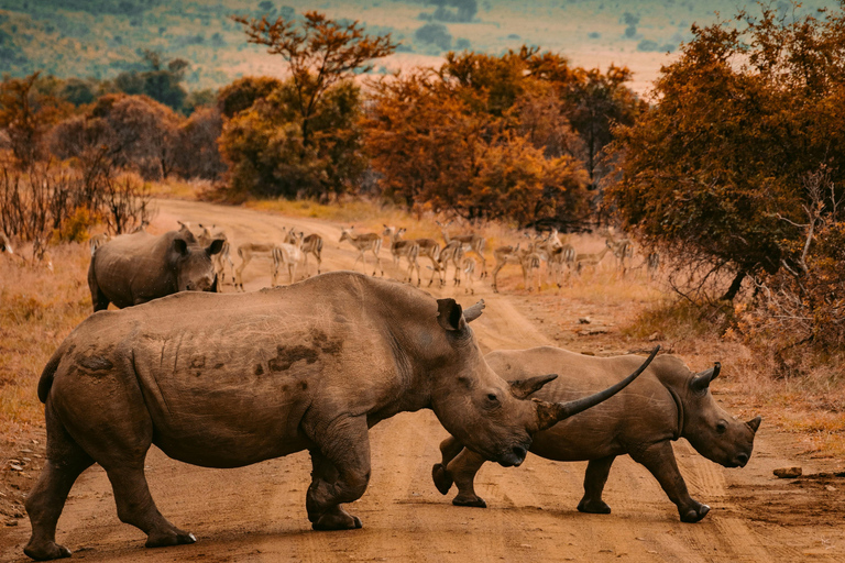 Z Zanzibaru: 2-dniowe safari w Serengeti z lotami krajowymi