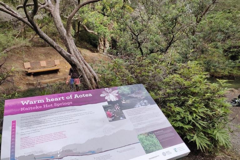 Gran Barrera: Remojo y Paseo Privado por las Aguas Termales de Kaitoke