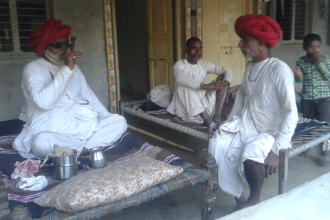 Da Ahmedabad: tour privato di 4 giorni in Gujarat e Rajasthan